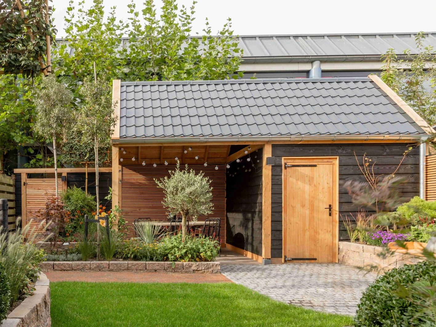 Douglas overkapping zadeldak, 500 x 300, met achterwand, Westwood DIY - Afbeelding 5